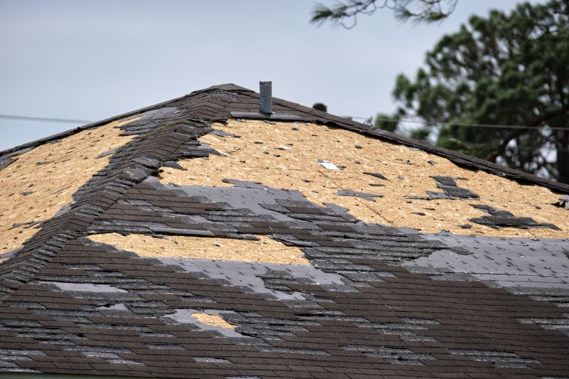 Roof Damage Assessment